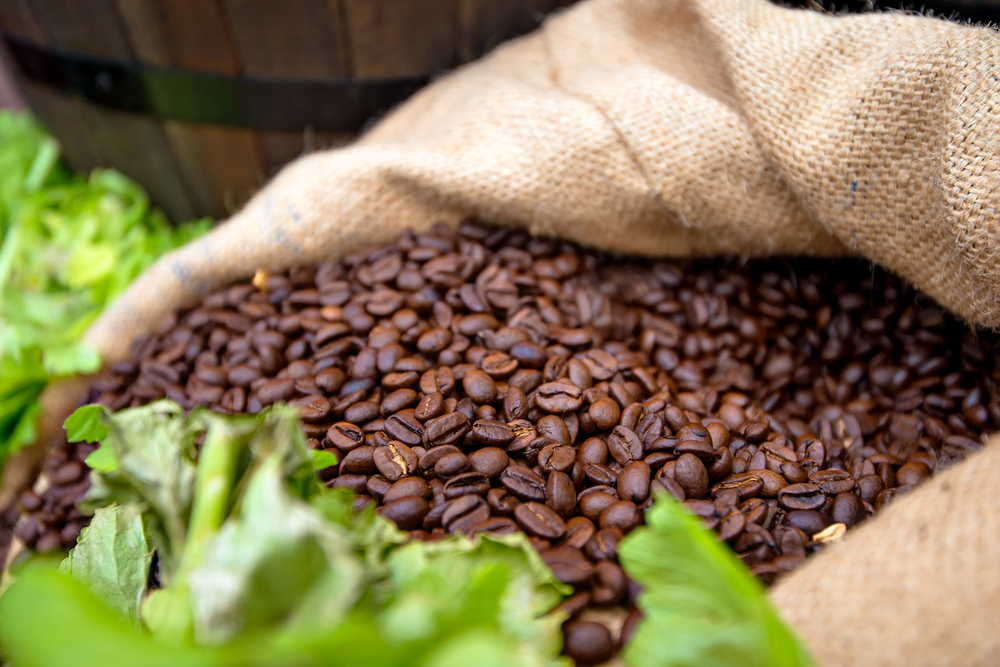 best organic coffee beans